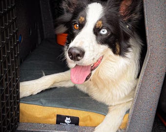 Custom Dog Crate Pad - Made to Fit Your Exact Crate - Lots of Colors - RuffLand, Impact, VarioCage, etc. - Memory Foam, Cordura, Made in USA