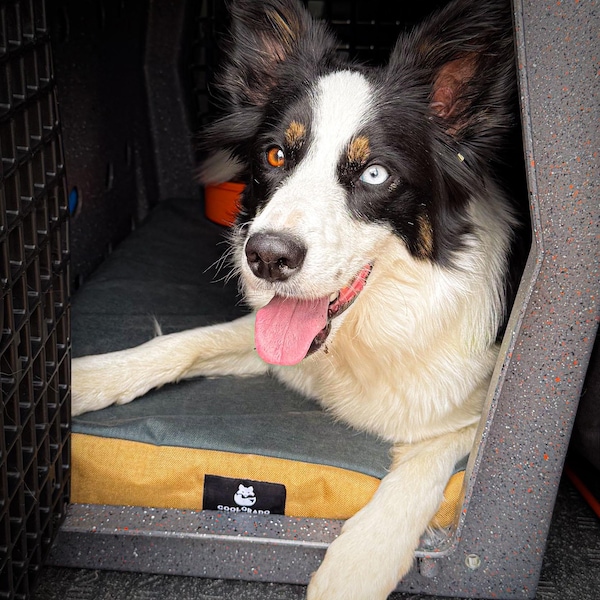 Custom Dog Crate Pad - Made to Fit Your Exact Crate - Lots of Colors - RuffLand, Impact, VarioCage, etc. - Memory Foam, Cordura, Made in USA