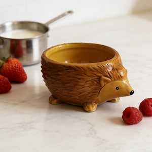 Könnte beinhalten: Eine Keramik-Igel-Schale mit brauner Außenseite und gelber Innenseite. Die Schale hat eine kleine schwarze Nase und winzige Füße. Erdbeeren, Himbeeren und ein kleiner Topf sind im Hintergrund.