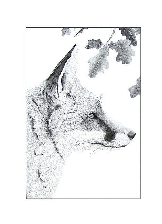 Black and White Fox Art Fox Illustration Animal Print Fox Etsy