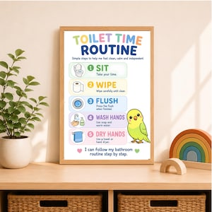 May include: A framed educational poster titled TOILET TIME ROUTINE with five numbered steps: 1 SIT, 2 WIPE, 3 FLUSH, 4 WASH HANDS, and 5 DRY HANDS. The poster features a yellow and green budgie illustration and text instructions for bathroom hygiene.