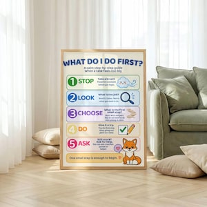 May include: A rectangular educational poster titled WHAT DO I DO FIRST? featuring a five-step guide with numbered icons: a cloud for stop, a magnifying glass for look, coins for choose, a pencil for do, and a fox illustration for ask.