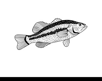 Realistic Largemouth Bass Fish