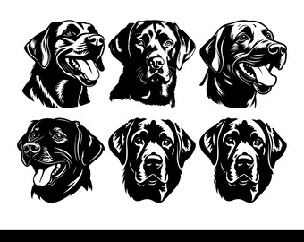 Labrador Retriever SVG PNG: Silhouette di cane, Labrador nero SVG, Download digitale