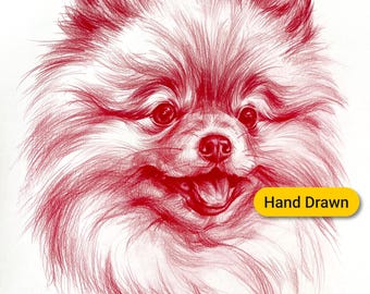 Pencil Pet Portrait: Custom Hand-Drawn Dog or Cat Art