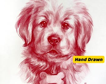 Pencil Pet Portrait: Custom Hand-Drawn Dog or Cat Art