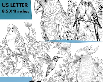 Bird coloring pages for adult to print | Adult bird coloring pages | Bird coloring pages