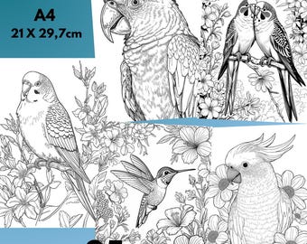 85 bird coloring pages for kids to print PDF