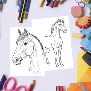 May include: Two black and white horse drawings on white paper. One drawing is a close-up of the horse's head, and the other is a full body view. The drawings are surrounded by school supplies, including pencils, scissors, and erasers.