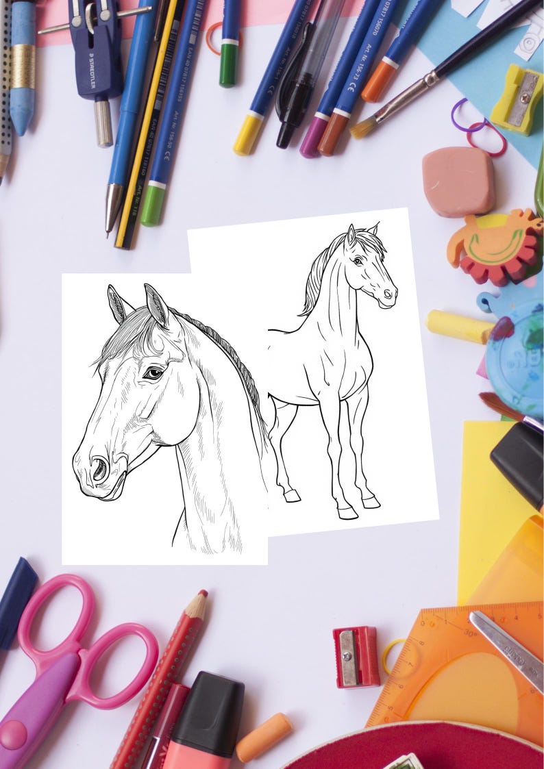 May include: Two black and white horse drawings on white paper. One drawing is a close-up of the horse's head, and the other is a full body view. The drawings are surrounded by school supplies, including pencils, scissors, and erasers.