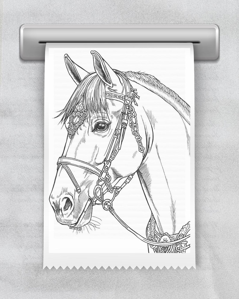 May include: Black and white line drawing of a horse's head, wearing an ornate bridle. The horse's profile is detailed, showing the eye, ear, and muzzle. The image is printed on a roll of paper, with a perforated edge.