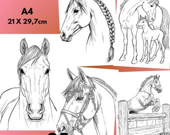 85 horse coloring pages for kids to print PDF