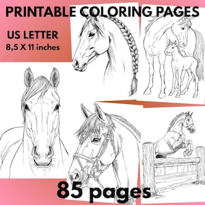 May include: Printable coloring pages featuring detailed line drawings of horses. The pages are US Letter size, 8.5 x 11 inches, and include 85 pages of horse illustrations. The images include horse heads, a horse with a foal, and a horse jumping.