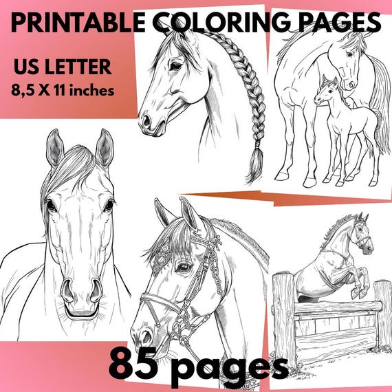 85 coloriages de chevaux pour adulte et enfant à imprimer | Coloriages numériques PDF