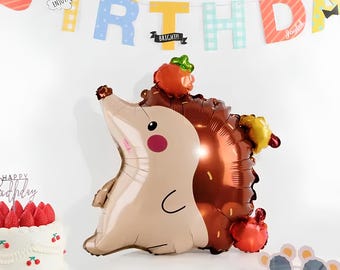 Ballon cartoon egel – Decoratie kinderfeestje