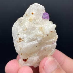 以下が含まれることがあります： 上部から突き出た小さな鮮やかな紫色の結晶を持つ、生のオフホワイトの鉱物標本。鉱物は、小さな茶色と黒のインクルージョンを持つ、粗くテクスチャ加工された表面を持っています。