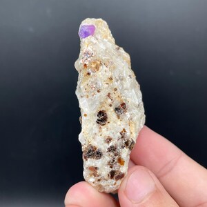 May include: A natural mineral specimen with a light beige base, speckled with dark brown and reddish-brown inclusions. A small, vibrant purple crystal is embedded at the top. The mineral is held in a hand against a dark background.