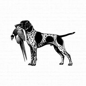 Pode incluir: Uma ilustração gráfica a preto e branco de um cão de caça malhado de pé de perfil. O cão segura um faisão na boca. A obra apresenta linhas de tinta de alto contraste e sombreados detalhados para definir a forma e a pelagem do animal.