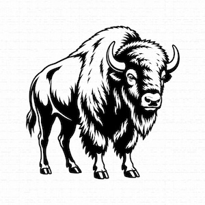 May include: A high-contrast black and white graphic illustration of a standing American bison. The artwork features bold lines and solid black shading to define the animal's thick fur, curved horns, and sturdy build, presented on a white background.