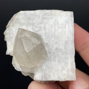 Puede incluir: Formación cristalina natural. Presenta una base blanca opaca con una prominente punta de cristal marrón claro. El cristal tiene una textura en capas y un aspecto liso y pulido, mostrando la belleza geológica natural.