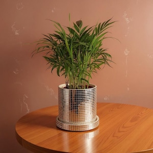 May include: A potted plant with long, green leaves sits in a cylindrical, silver mosaic-tiled planter. The planter rests on a matching saucer. The plant is on a round, wooden table against a muted, reddish-brown wall.