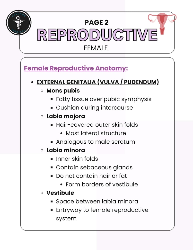 Female Reproductive System Anatomy and Physiology Study Guide (34 Pages ...