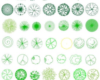 640+Tree Top&Elevation View CADBlocks,Dwg,Png,Ai,Svg,Eps,Landscape Architecture Symbols,Landscape tree,Plant Top View,Tree Plan View clipart