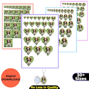 May include: Digital download of beagle puppy images in various sizes and shapes, including heart and oval designs, plus a locket with a puppy photo. The images are set against a green background. Text includes "Digital DOWNLOAD" and "30+ Sizes."