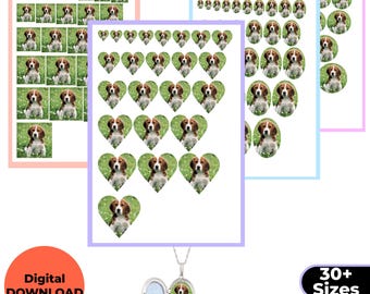 Custom Photo heart & Oval Locket Prints, Printable Locket Photos, Photo for Locket, Digital Photos for Gift, Photo in Locket