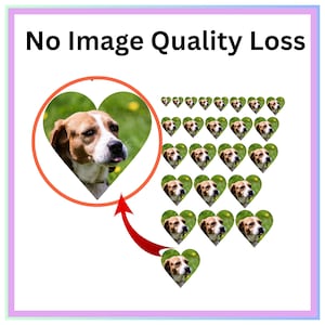 May include: An image featuring a dog's face within a heart-shaped frame, with a red arrow pointing to it. The phrase "No Image Quality Loss" is at the top. Multiple heart-shaped images of the dog are arranged in a pattern.