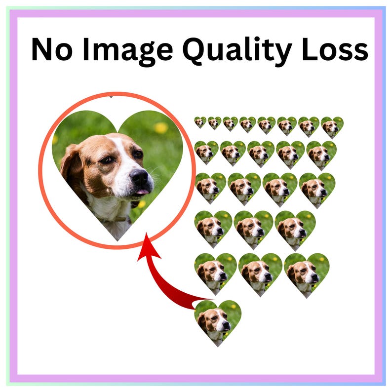 May include: An image featuring a dog's face within a heart-shaped frame, with a red arrow pointing to it. The phrase "No Image Quality Loss" is at the top. Multiple heart-shaped images of the dog are arranged in a pattern.