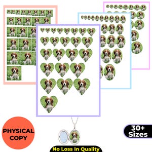 May include: Various sticker sheets and a locket necklace featuring a beagle puppy. The stickers are in different shapes, including hearts and ovals, and sizes. The image also includes the text "PHYSICAL COPY" and "30+ Sizes".