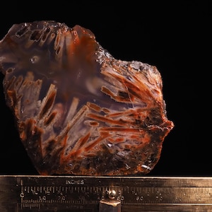 May include: A polished agate stone, irregularly shaped, with translucent and opaque sections. It displays reddish-brown, linear patterns against a lighter backdrop. The stone rests on a brass ruler, with inches marked.