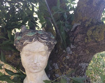 May include: A weathered, off-white sculpture of a classical female bust, nestled among the branches of a tree. The sculpture has detailed facial features and a textured surface. Green and brown accents are visible on the head. The background features tree bark and foliage.