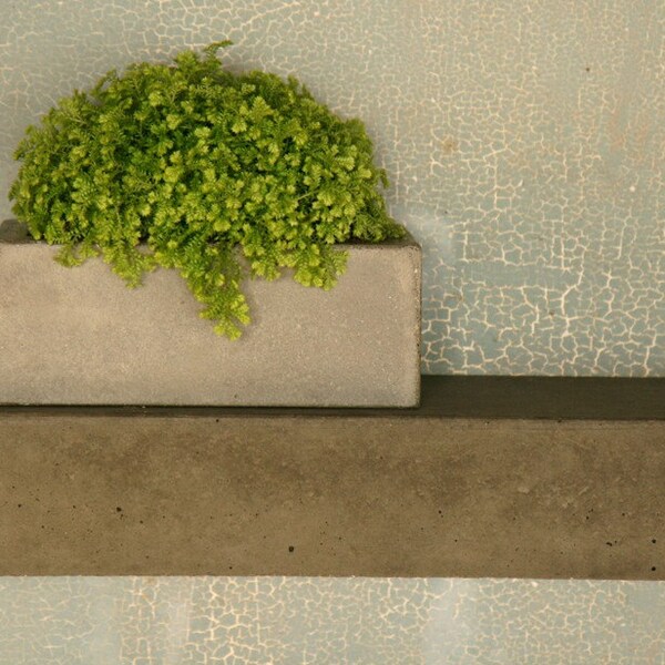 Concrete . Planter II