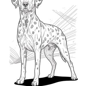 K&ouml;nnte beinhalten: Schwarz-Wei&szlig;-Illustration eines Dalmatinerhundes. Der Hund steht, nach vorne gerichtet, mit einem schwarzen Schatten darunter. Der Hund hat schwarze Flecken auf seinem wei&szlig;en Fell. Das Wort "D&aacute;lmata" steht unten in Schwarz.