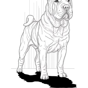 K&ouml;nnte beinhalten: Schwarz-Wei&szlig;-Illustration eines Shar Pei-Hundes. Der Hund steht, nach vorne gerichtet, mit detaillierten Falten und F&auml;ltchen in der Haut. Der Schatten des Hundes ist auf dem Boden, und der Text "Shar Pei" steht unten.