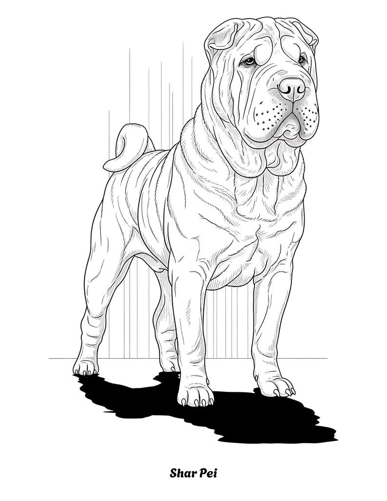K&ouml;nnte beinhalten: Schwarz-Wei&szlig;-Illustration eines Shar Pei-Hundes. Der Hund steht, nach vorne gerichtet, mit detaillierten Falten und F&auml;ltchen in der Haut. Der Schatten des Hundes ist auf dem Boden, und der Text "Shar Pei" steht unten.