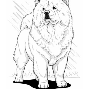K&ouml;nnte beinhalten: Schwarz-Wei&szlig;-Illustration eines Chow Chow-Hundes im Stehen, nach vorne gerichtet. Der Hund hat ein dickes, flauschiges Fell und ein faltiges Gesicht. Der Text "Chow Chow" befindet sich am unteren Rand des Bildes.