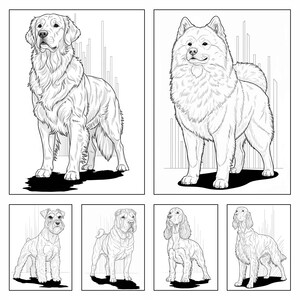 K&ouml;nnte beinhalten: Schwarz-Wei&szlig;-Strichzeichnungen von sechs Hunderassen. Zu den Rassen geh&ouml;ren ein Golden Retriever, ein Samojede, ein Zwergschnauzer, ein Shar Pei, ein Cocker Spaniel und ein Irish Setter. Jeder Hund wird in einer stehenden Pose dargestellt.