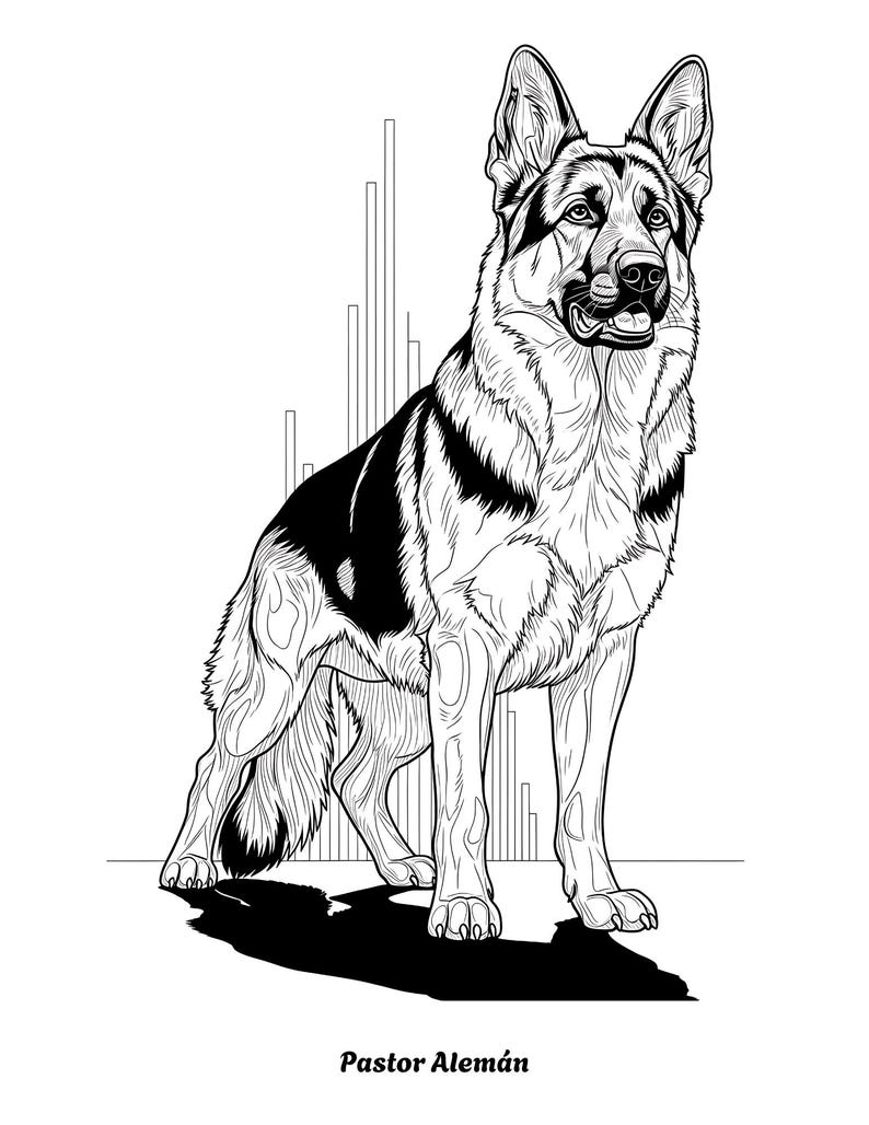K&ouml;nnte beinhalten: Schwarz-Wei&szlig;-Illustration eines Deutschen Sch&auml;ferhundes in stehender Pose. Der Hund hat einen schwarzen Sattel und ein detailliertes Fellmuster. Der Text "Pastor Alem&aacute;n" befindet sich unten.