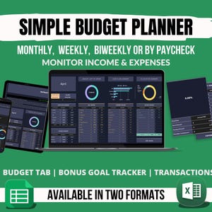 All-in-One Budget Planner: Google Sheets & Excel (Digital Download)