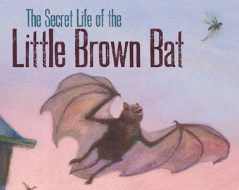 LITTLE BROWN BAT Children's Book Signed Personalized