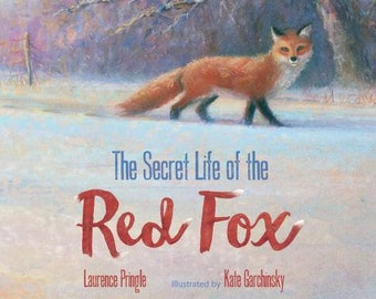 FOX BOOK Gift & Activity Package - Book + Poster + DIY craft + Art pages