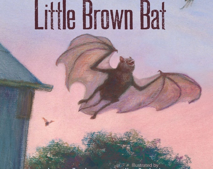 LITTLE BROWN BAT Book Signed Personalized