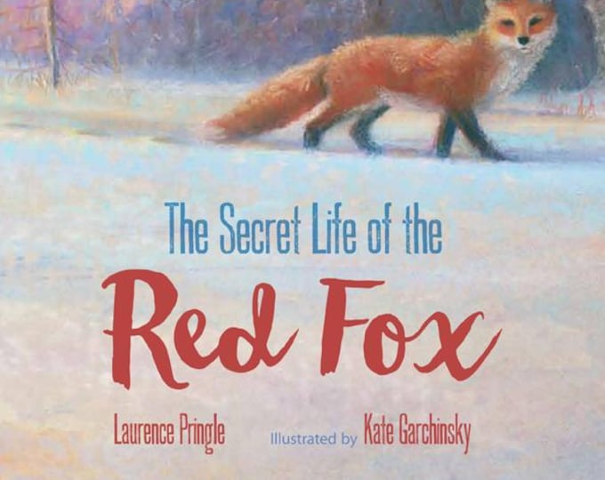 FOX BOOK Gift & Activity Package - Book + Poster + DIY craft + Art pages