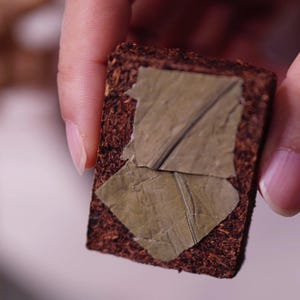 Peut inclure: Une petite brique de thé rectangulaire brun foncé avec une surface texturée. Deux feuilles vert olive sont collées sur le dessus. La brique de thé est tenue entre les doigts.