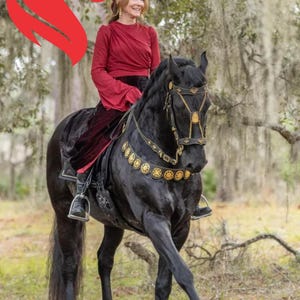 Handmade Spanish Style Horse Bridle: Cowhide Leather with 24K Gold Ornaments