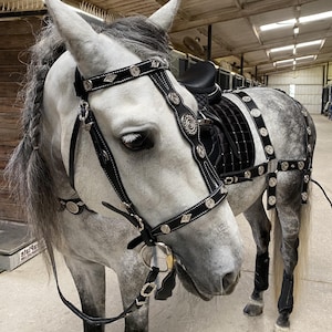 Fancy Horse Bridle Set With Breast Collar & Breeching , Leather Horse Bridle With Breast Collar , Horse Bridle , Horse Breeching