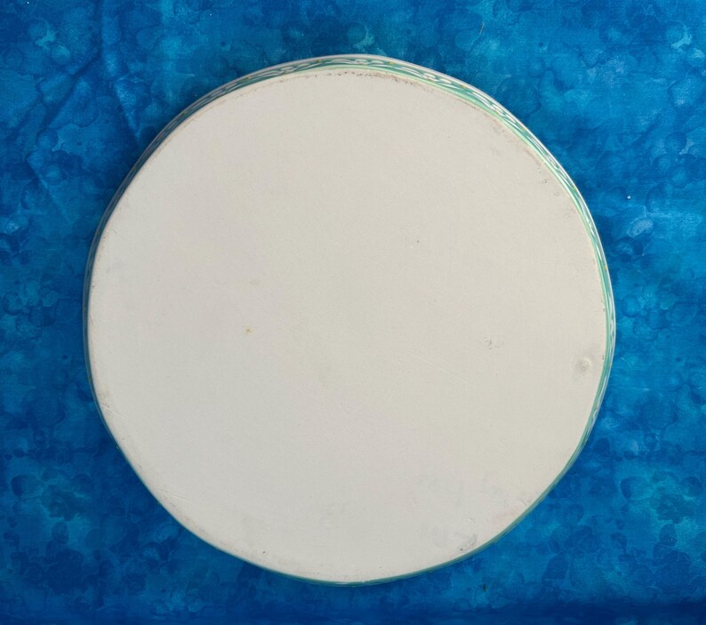 Puede incluir: Un plato redondo de cer&aacute;mica blanca con un borde decorativo verde y turquesa. El plato est&aacute; sobre un fondo azul.